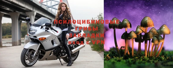 ГАЛЛЮЦИНОГЕННЫЕ ГРИБЫ Бронницы