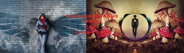 ГАЛЛЮЦИНОГЕННЫЕ ГРИБЫ Бронницы
