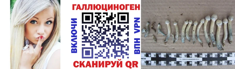 Псилоцибиновые грибы GOLDEN TEACHER  ОМГ ОМГ как войти  Кораблино  даркнет сайт 